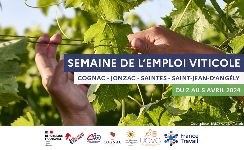 Semaine de l'emploi Viticole en Charente et Charente-Maritime