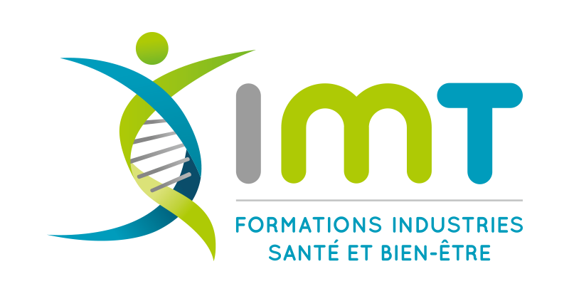 Groupe IMT - logo - png.png