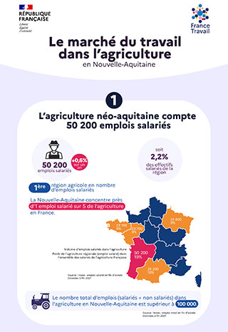 illustration-infographie-agricole-noa.jpg
