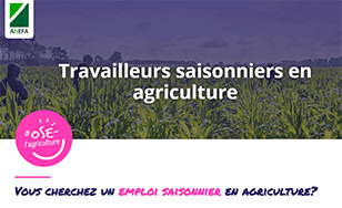 Les emplois saisonniers dans l'agriculture en Pays de la Loire
